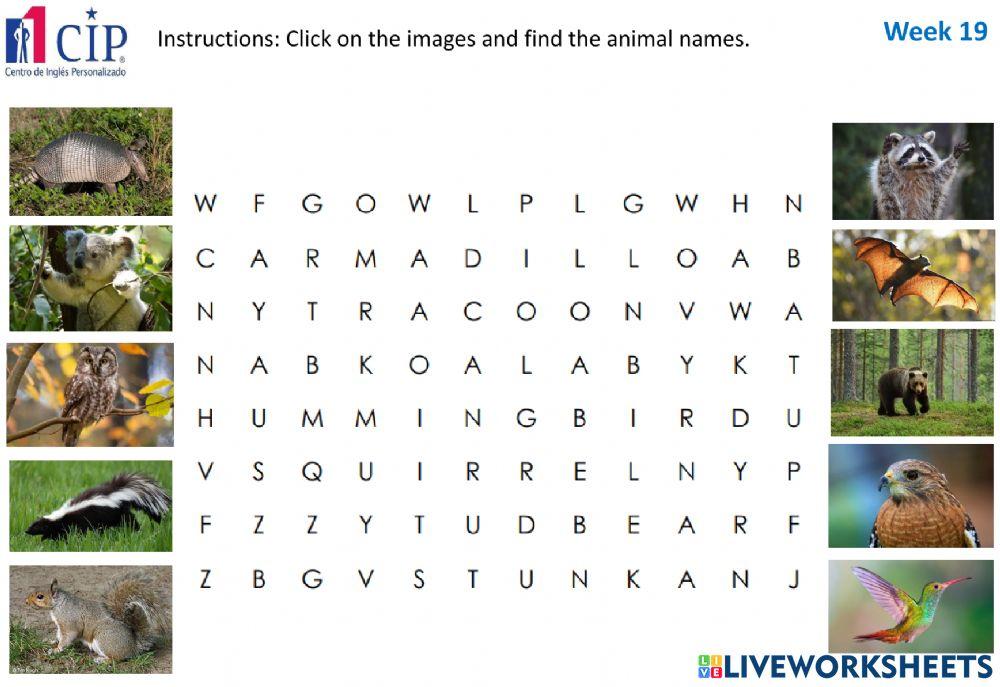 KIDS Forest Animals Week 19