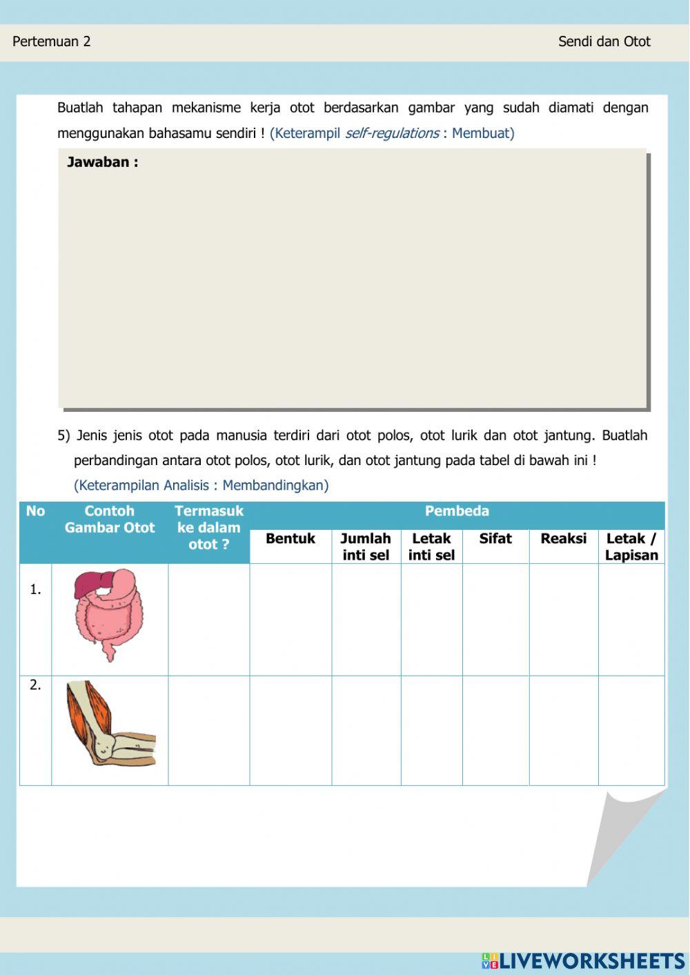 LEMBAR KERJA PESERTA DIDIK ELEKTRONIK (Sendi dan Otot)