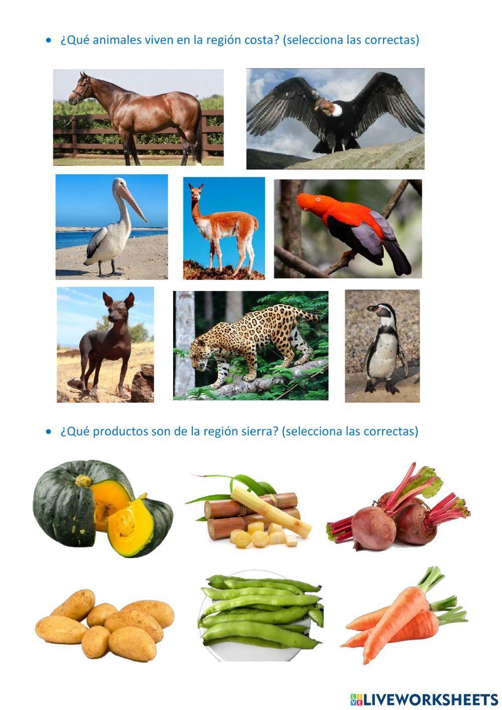 Las regiones del Perú