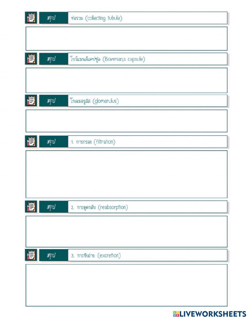 ใบงานระบบขับถ่าย