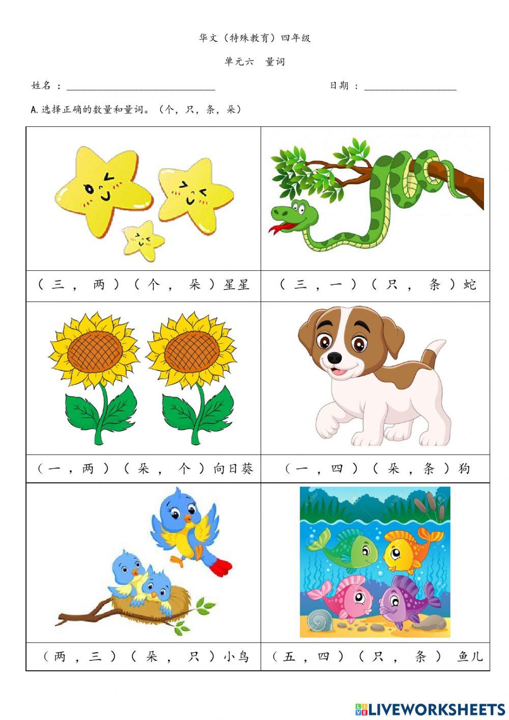 量词 （个，只，条，朵）