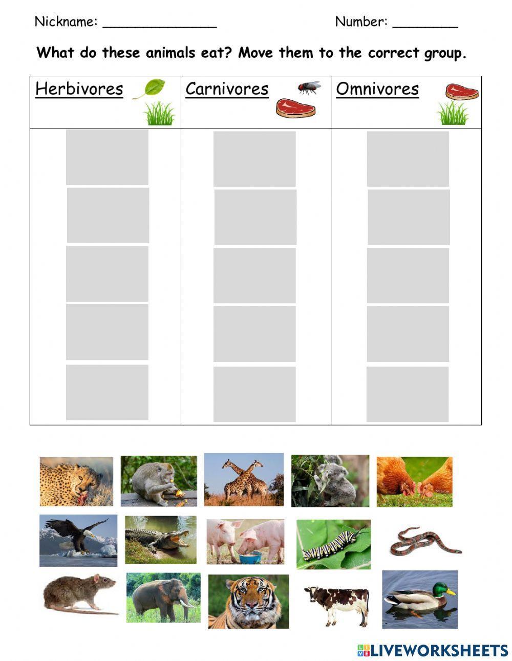 Herbivores Carnivores And Omnivores