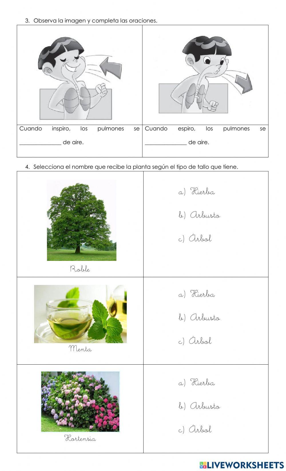 Practicando Ciencias Naturales