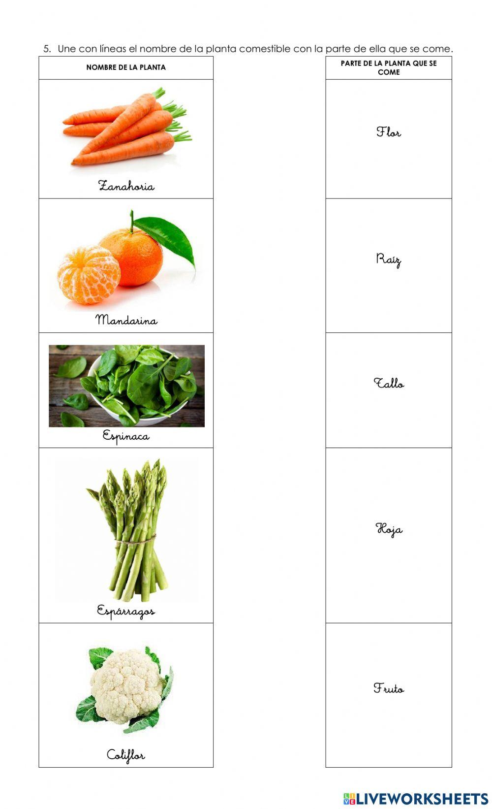 Practicando Ciencias Naturales
