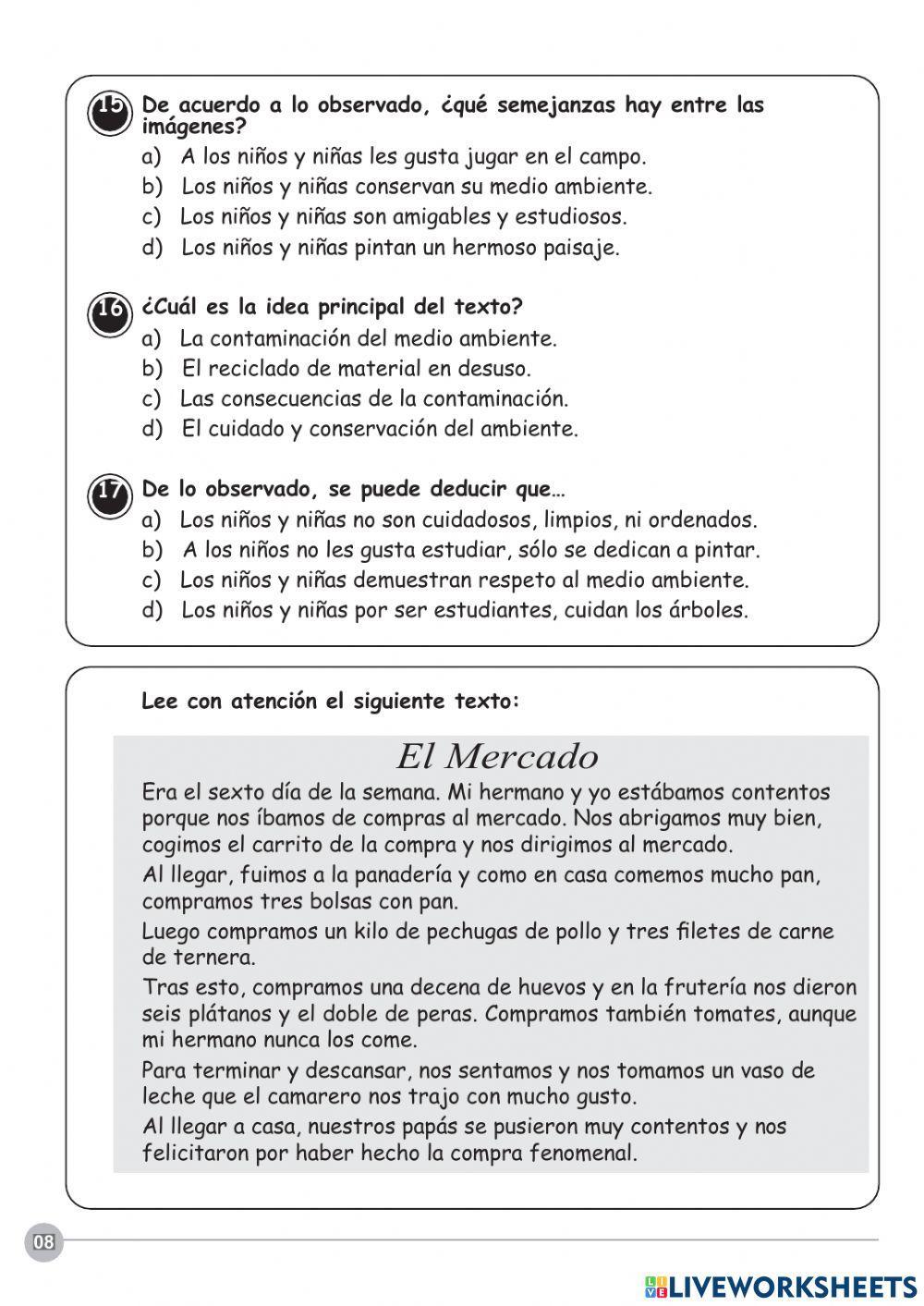 Prueba de comprensión lectora