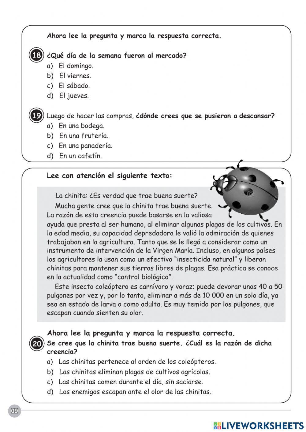 Prueba de comprensión lectora