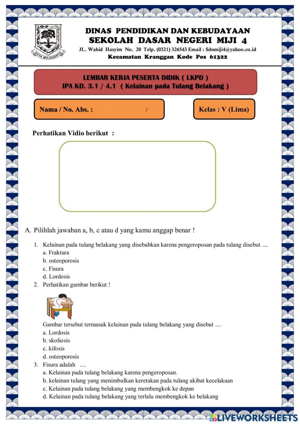 Kelainan pada Tulang Belakang