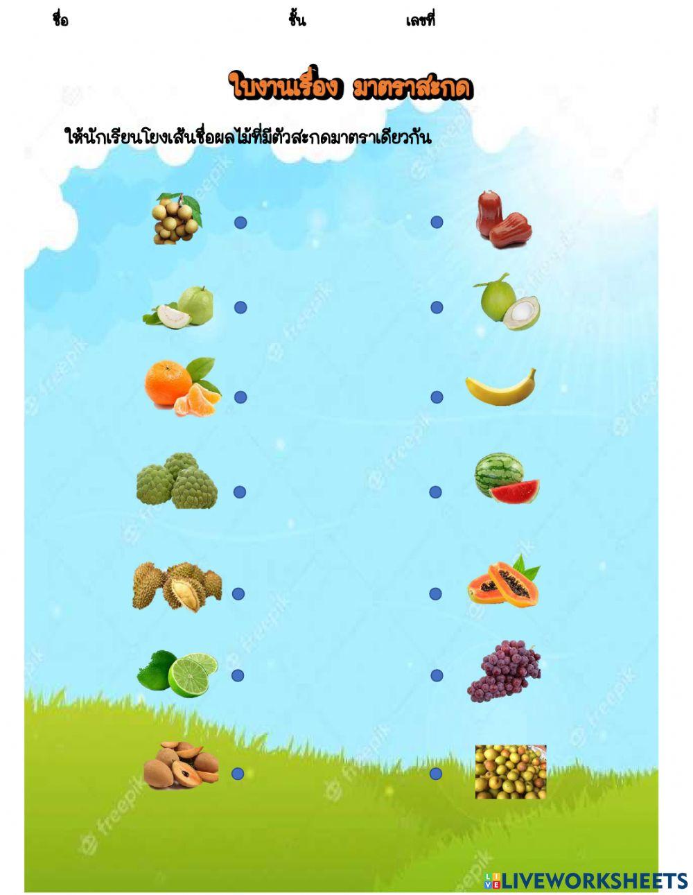 โยงเส้นจับคู่มาตราสะกด