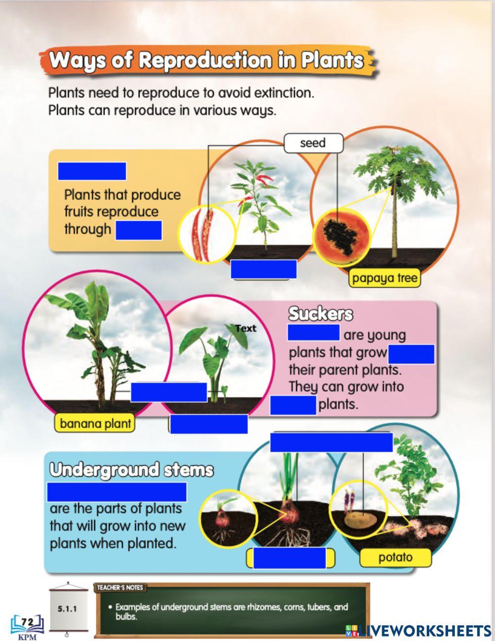 Ways of reproduction in Plants