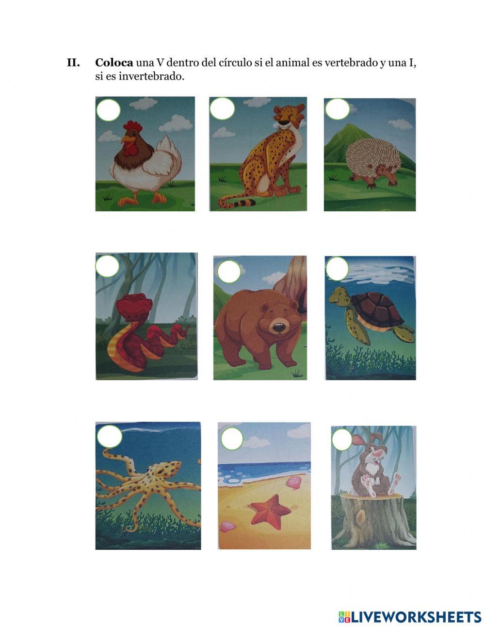 Animales Vertebrados e Invertebrados