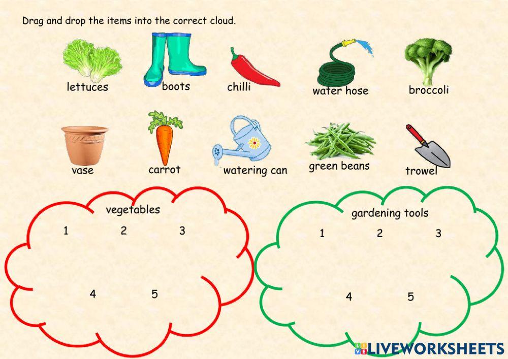 classifying