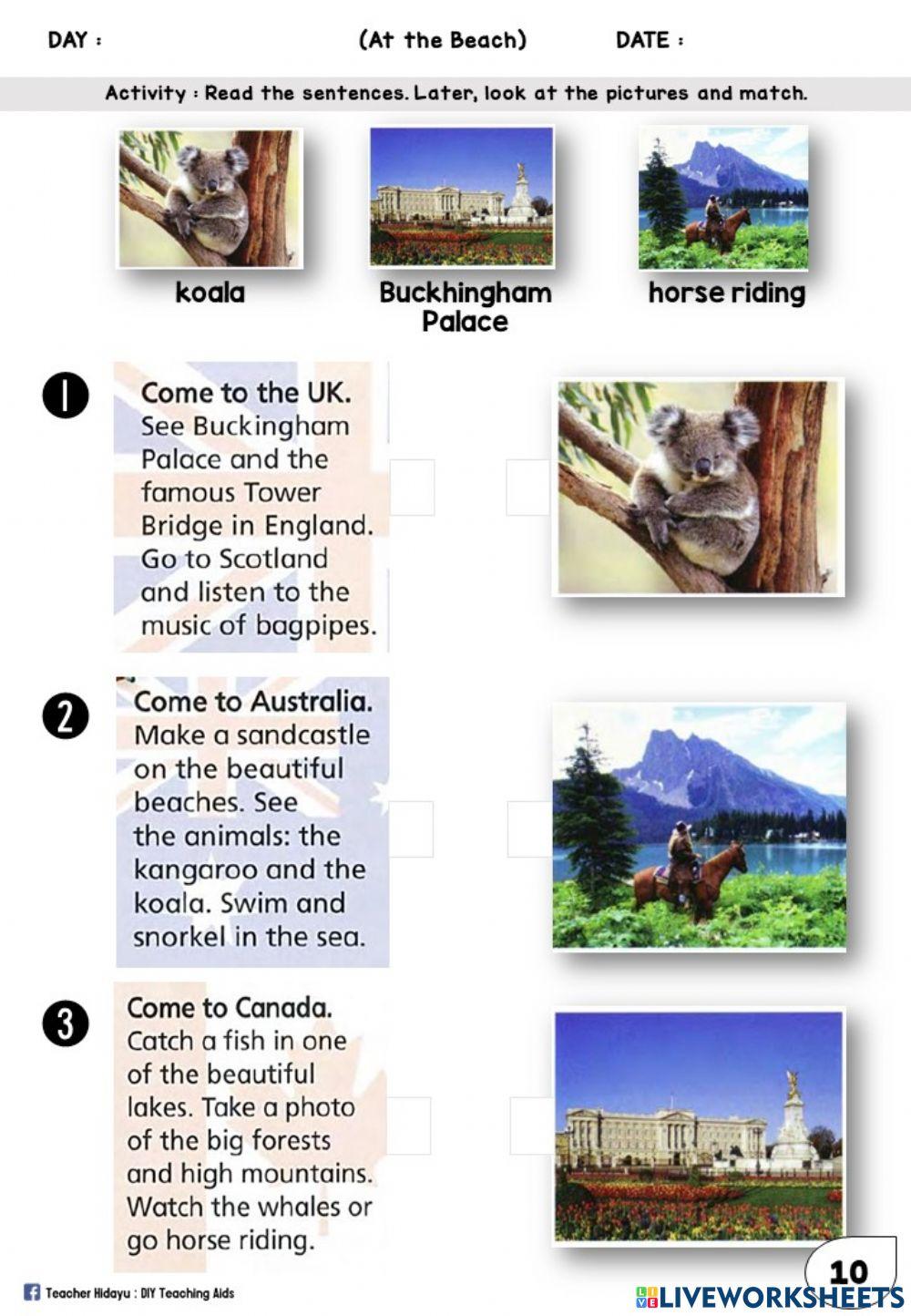 At the Beach Year 2 (Read and Match)