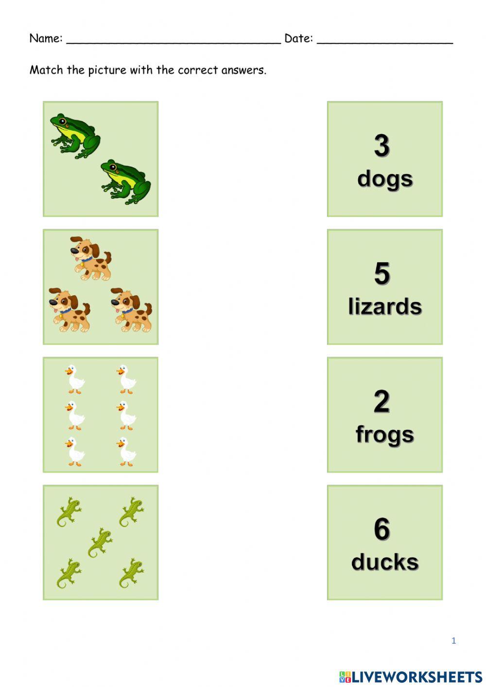 Year 1 unit 3: pet show