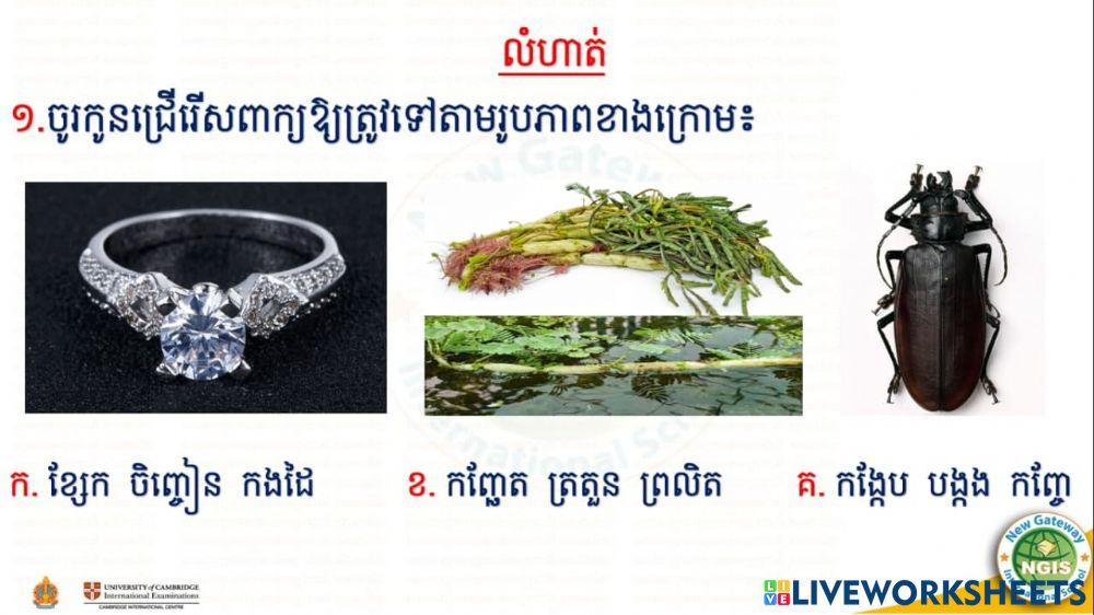 លំហាត់