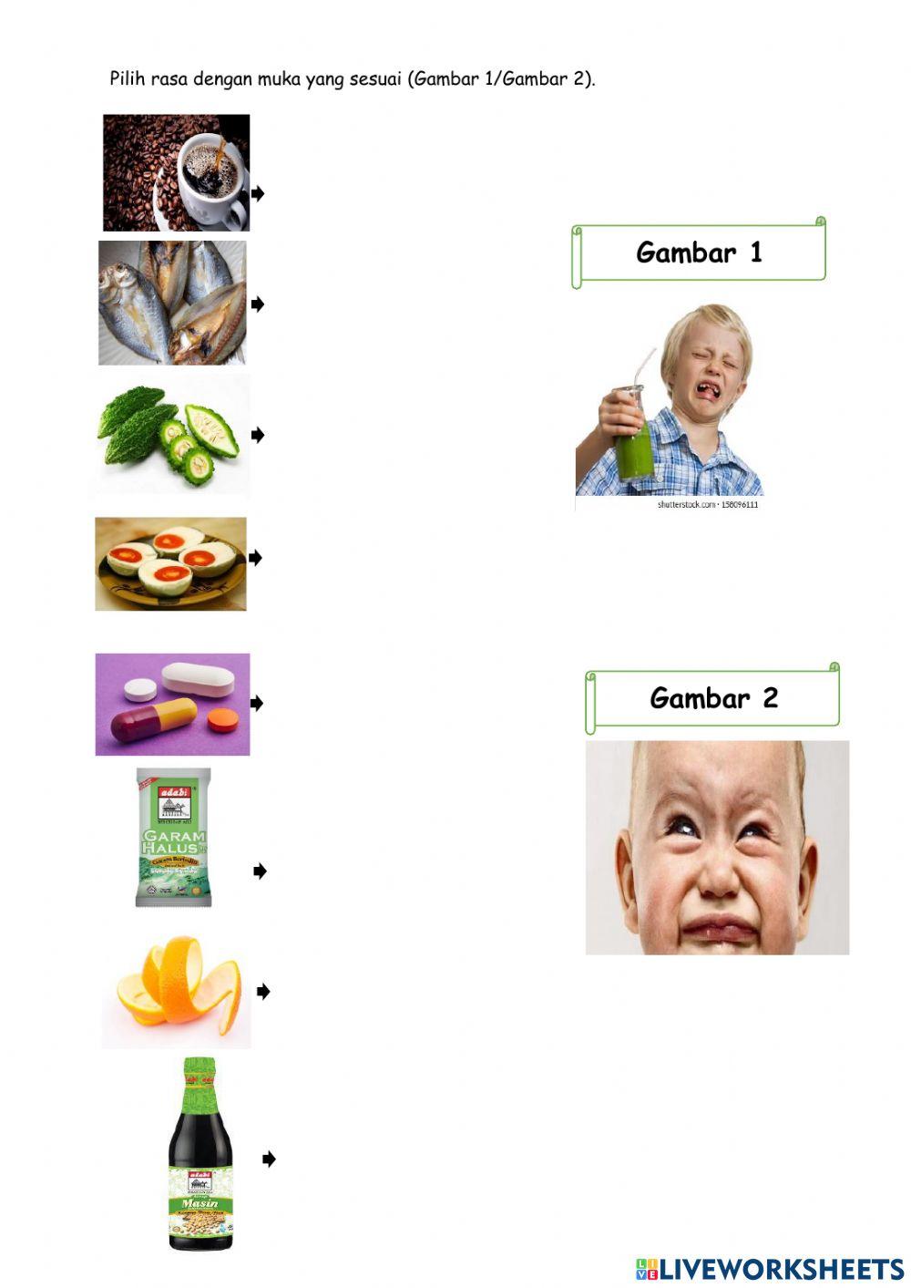 Respon Pada Rasa Makanan Pahit dan Masin