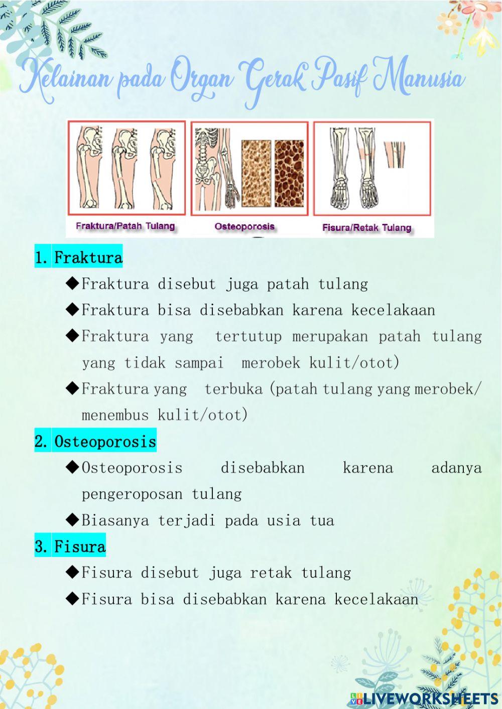Kelainan pada Organ Gerak