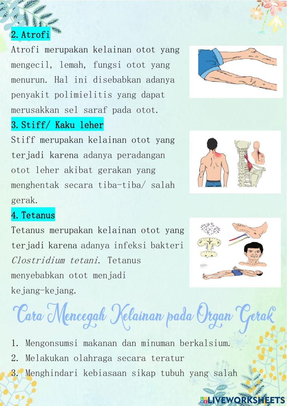 Kelainan pada Organ Gerak
