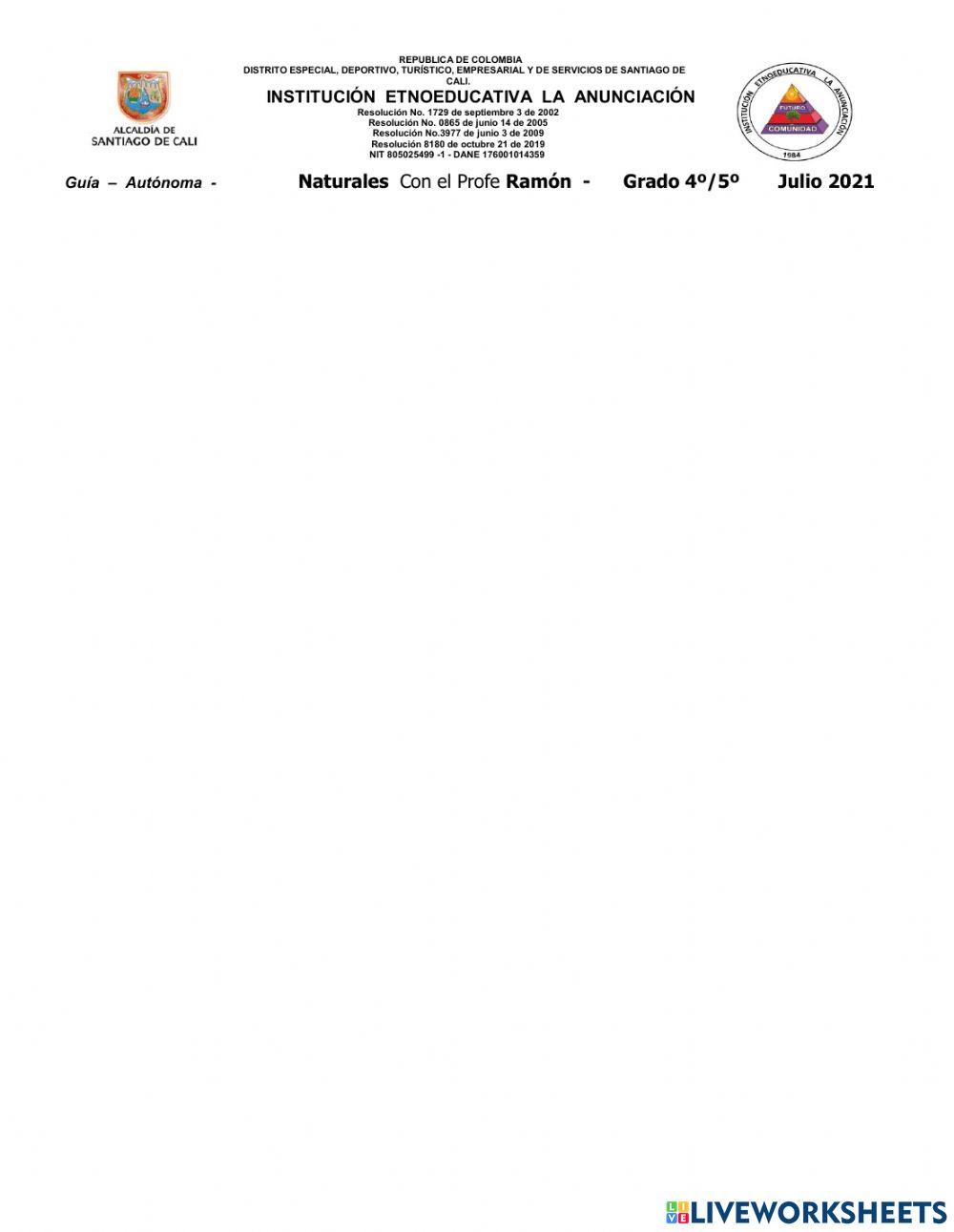 Sopa de letras Método Científico