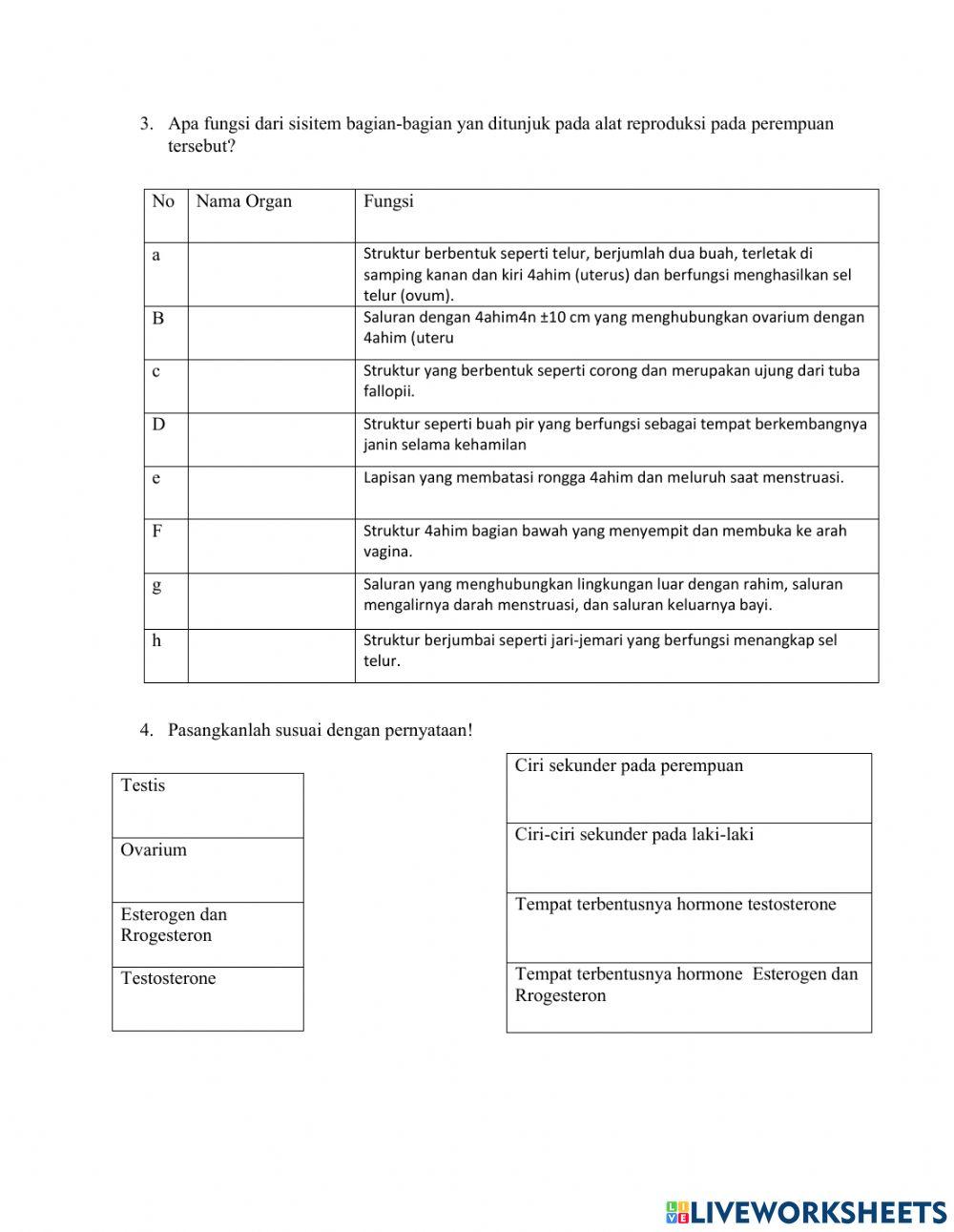 LKPD Kelas 9 3.1 Reproduksi perempuan