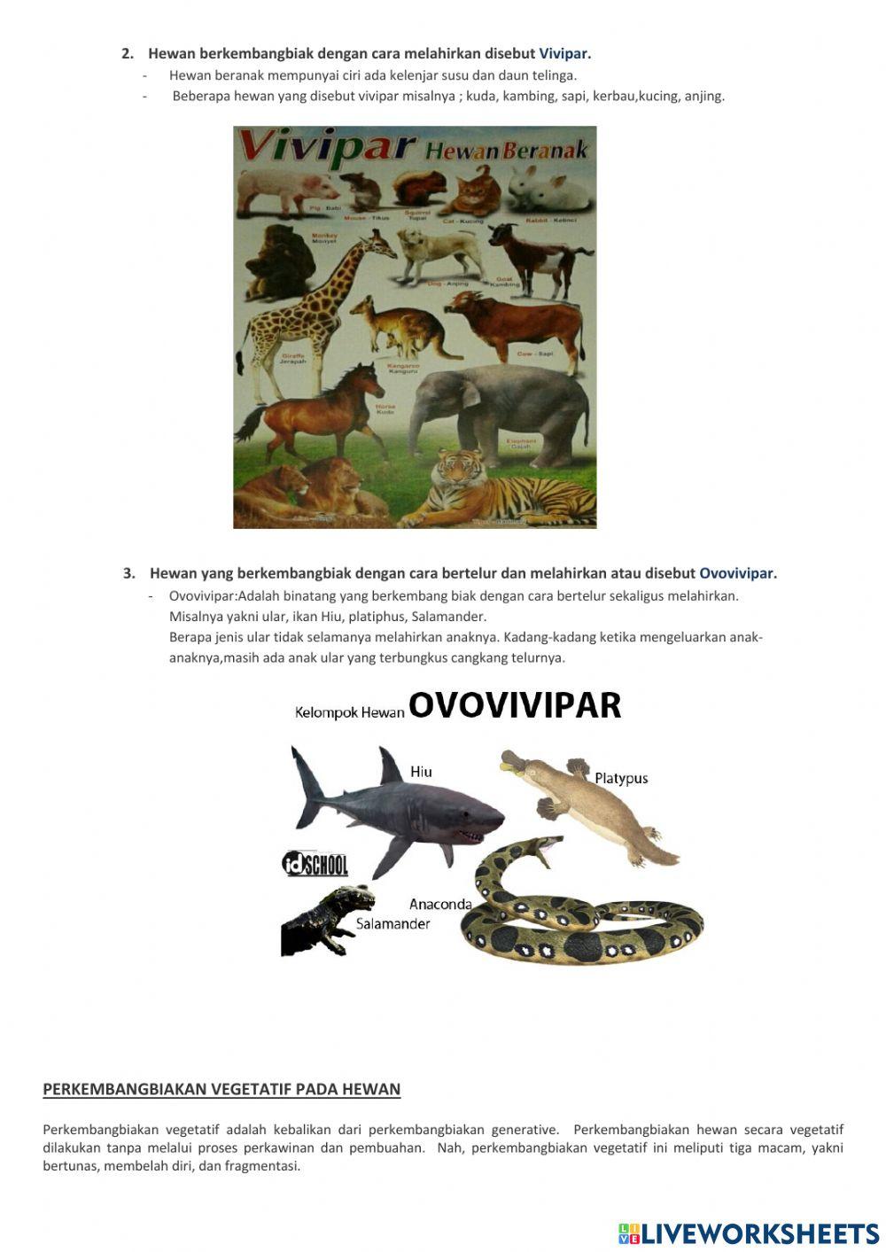 IPA Tema 1 Sub Tema 2