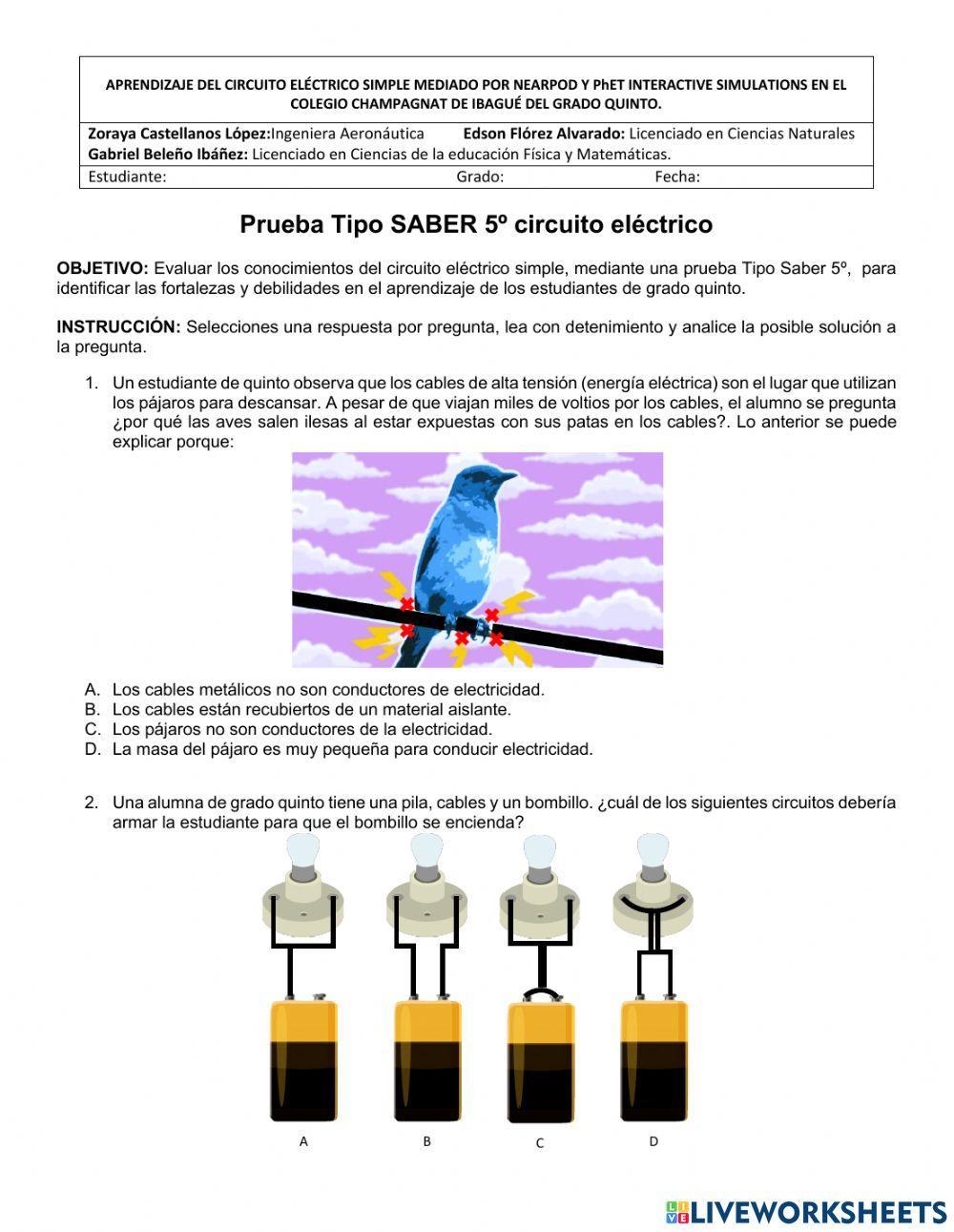 Circuito eléctrico evaluación