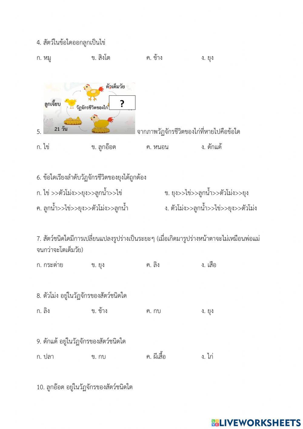 ข้อสอบกลางภาควิทยาศาสตร์ ป.3