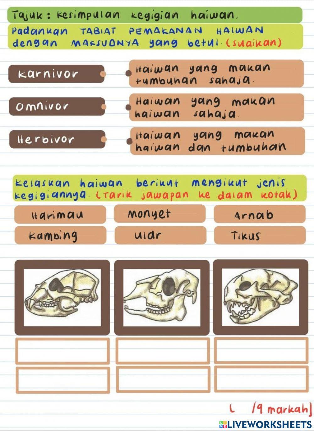 Kesimpulan kegigian haiwan
