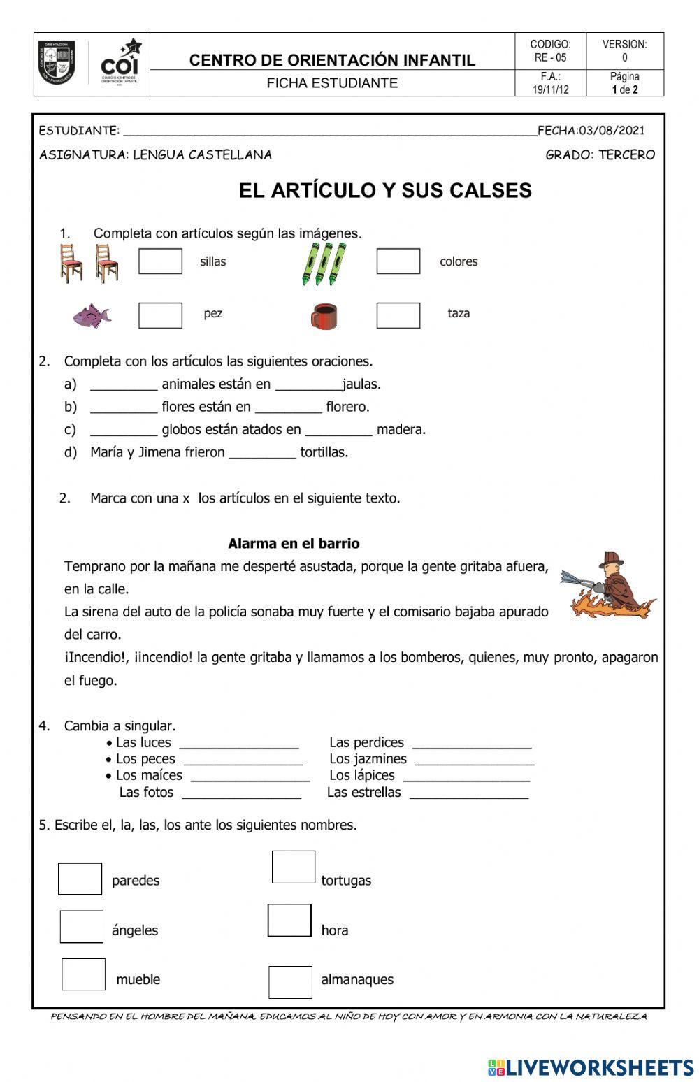 El articulo y sus clases