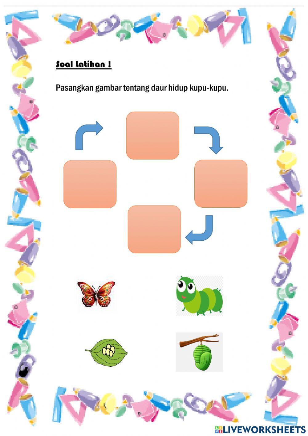 Latihan Soal Daur Hidup Kupu-Kupu