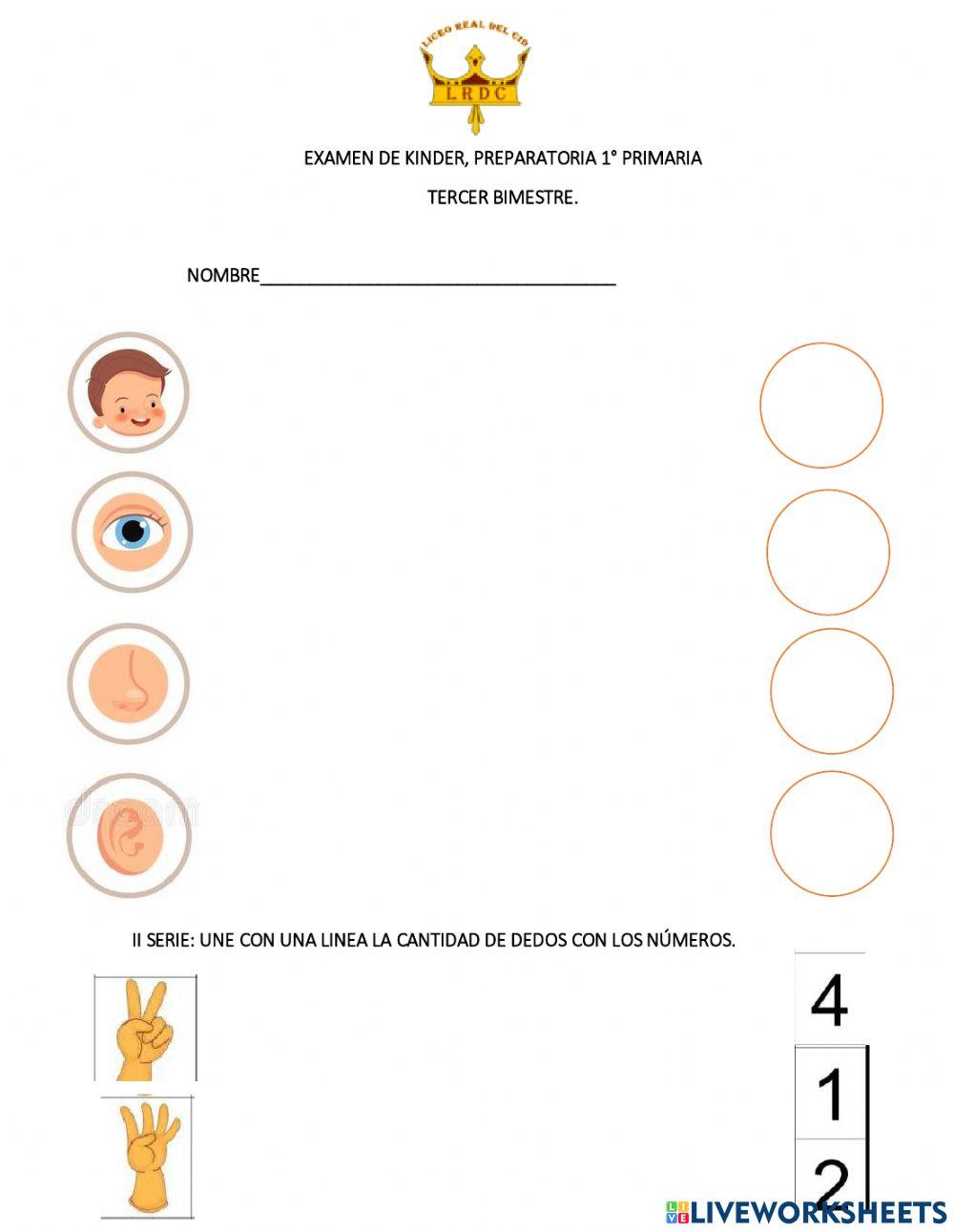 Examen de ingles, tercer bimestre