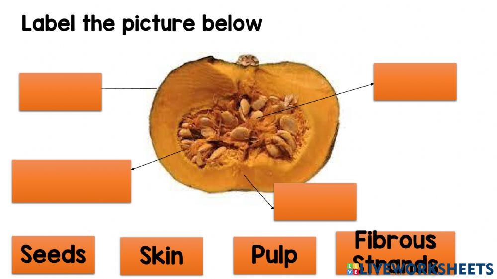 Vegetables - pumpkin