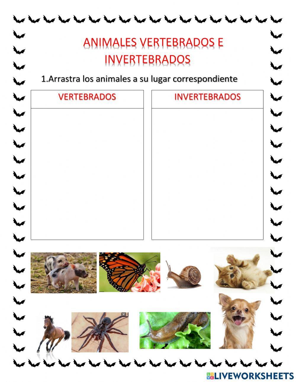 Animales vertebrados y invertebrados