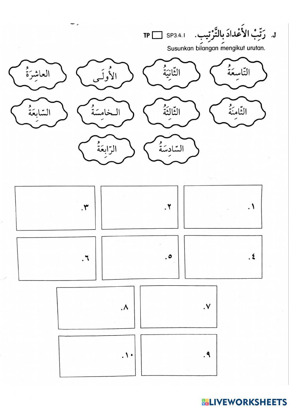 العدد الترتيبي للمؤنث