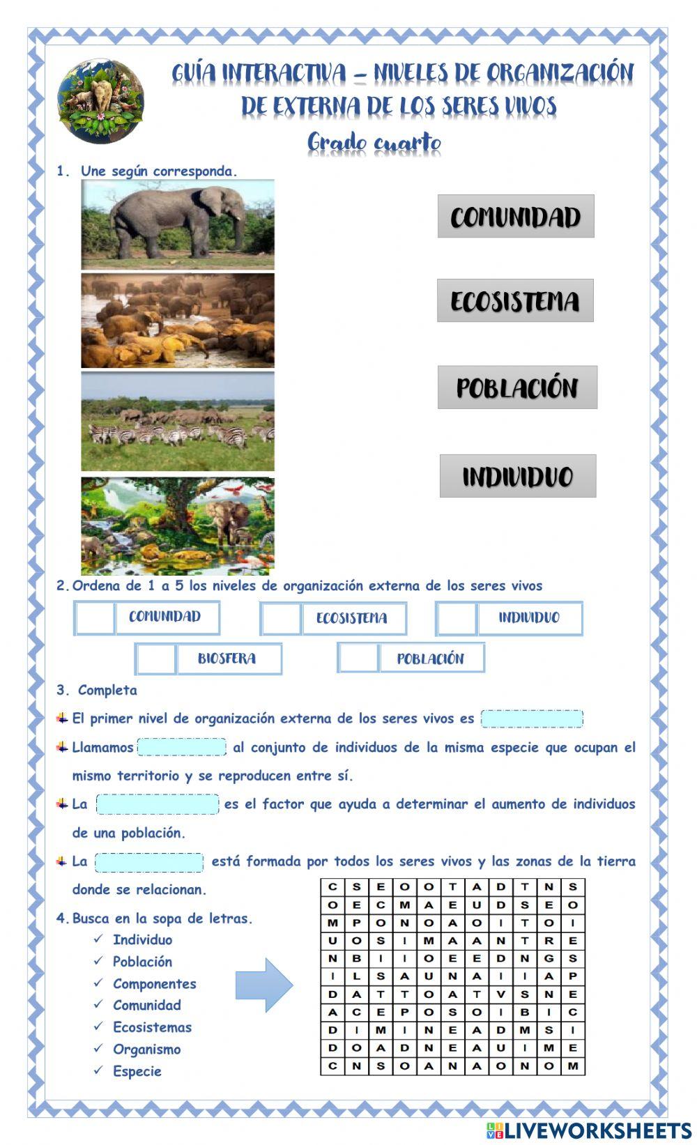 Niveles de organización