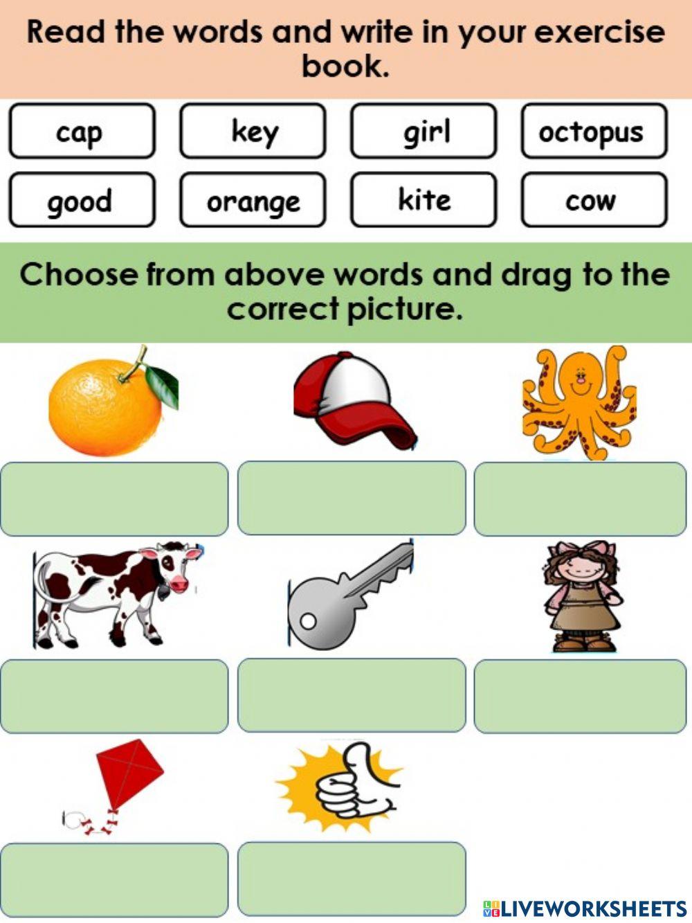 Phonics (g,c,o,k)