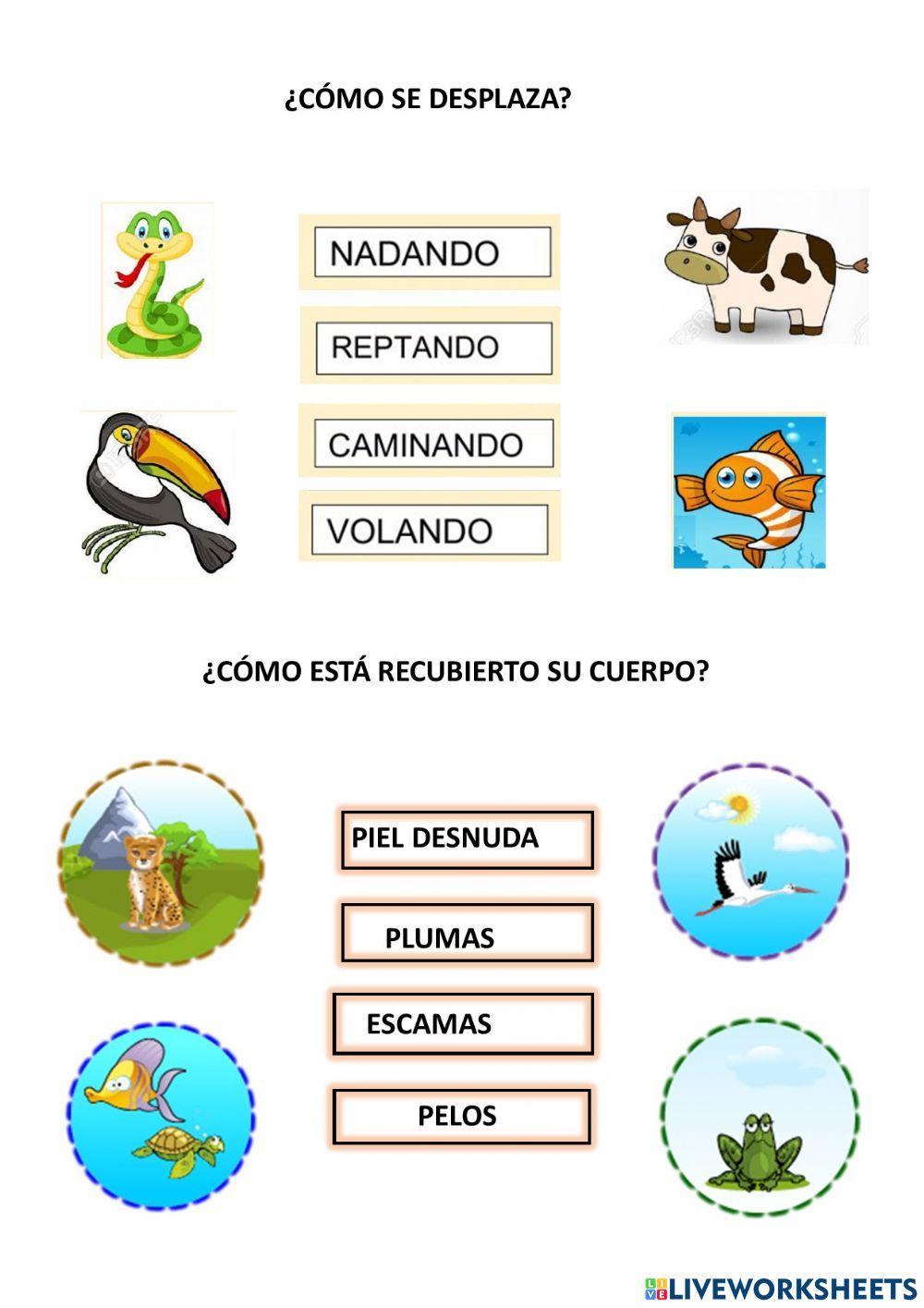 Adaptaciones de los animales