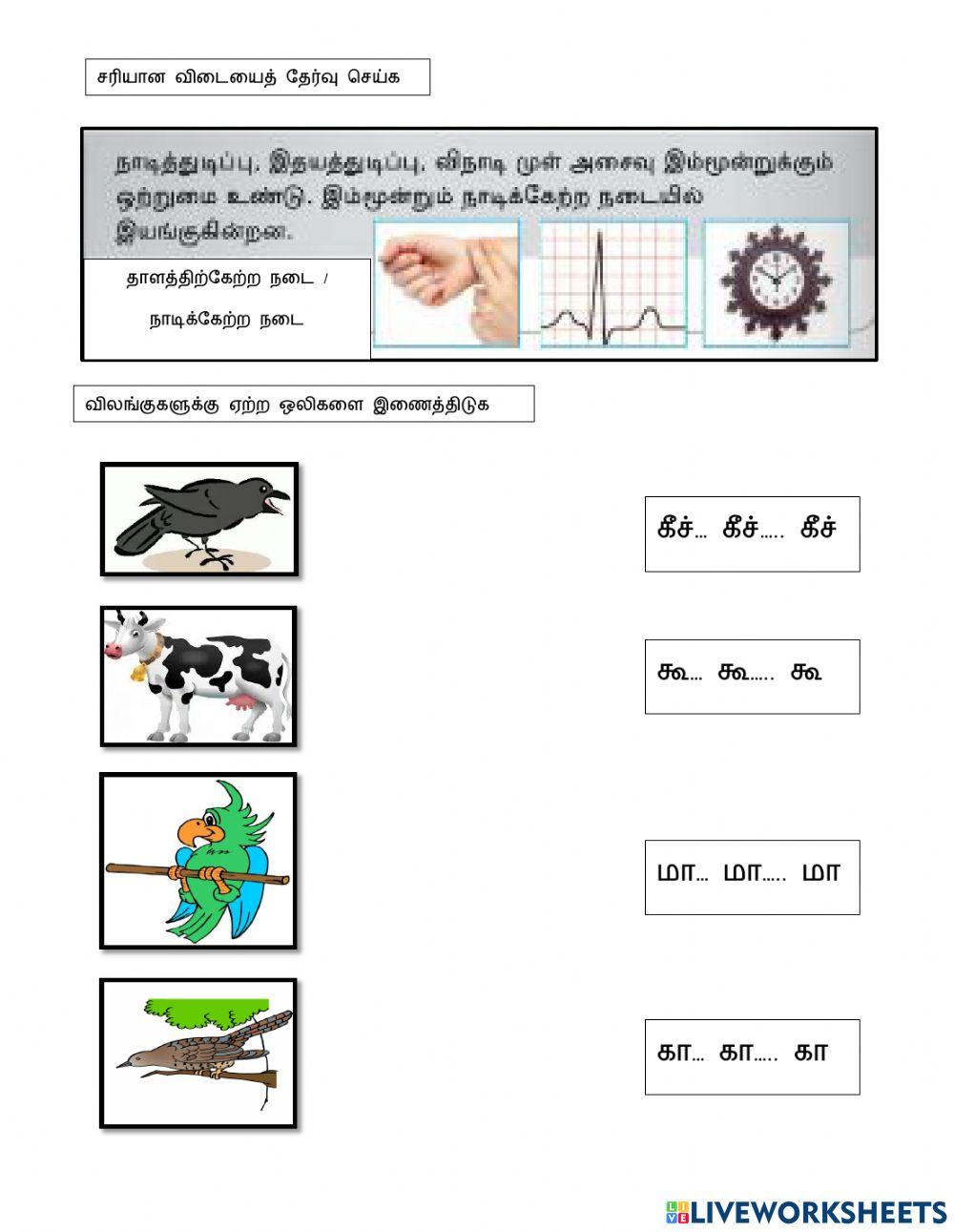 இசைக்கு நாடி