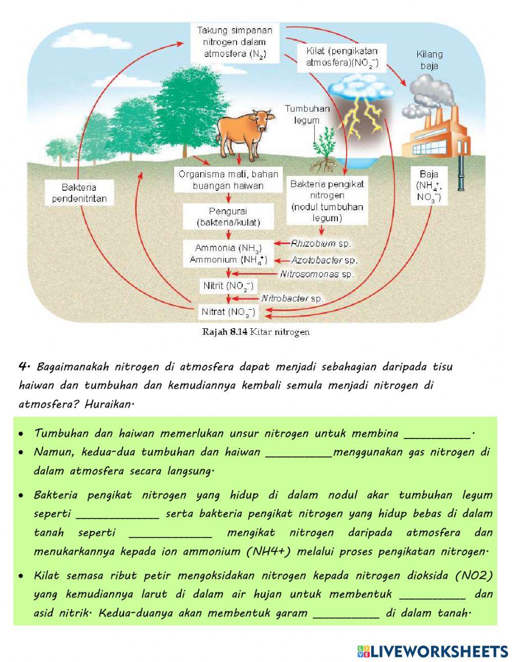 Praktis Sumatif 8 Biodiversiti