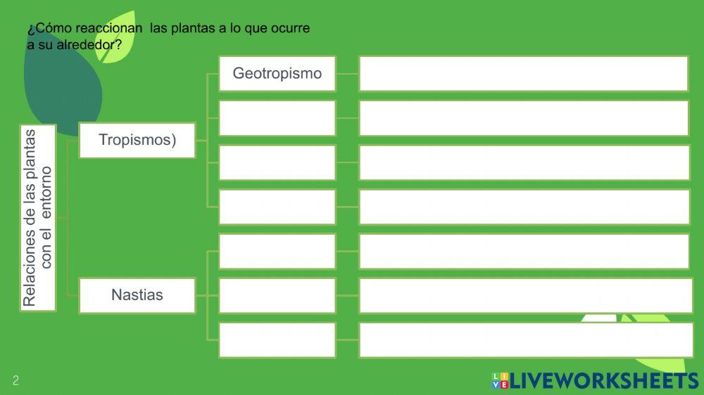 Guia sexto  3p cuarta parte