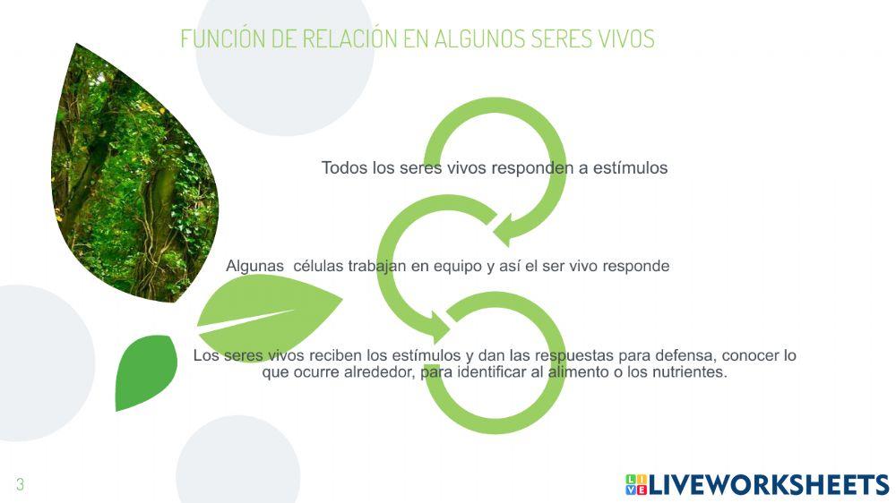 Guia sexto  3p cuarta parte