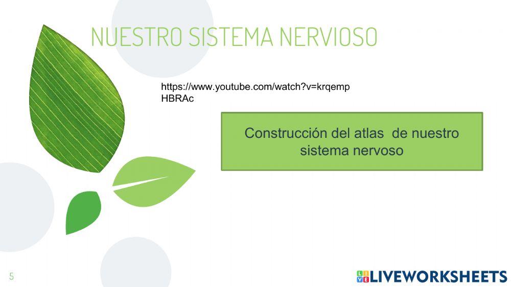 Guia sexto  3p cuarta parte