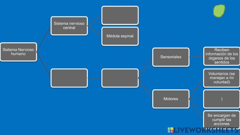 Guia sexto  3p cuarta parte
