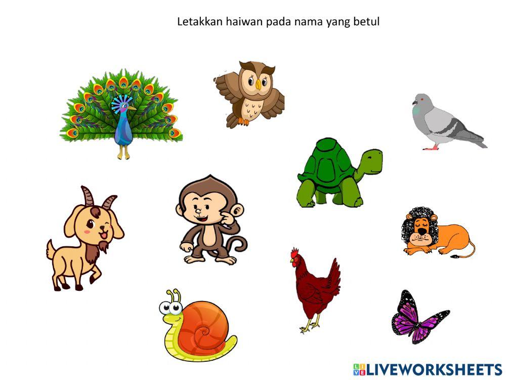 Nama-nama haiwan dalam buku teks tahun 1