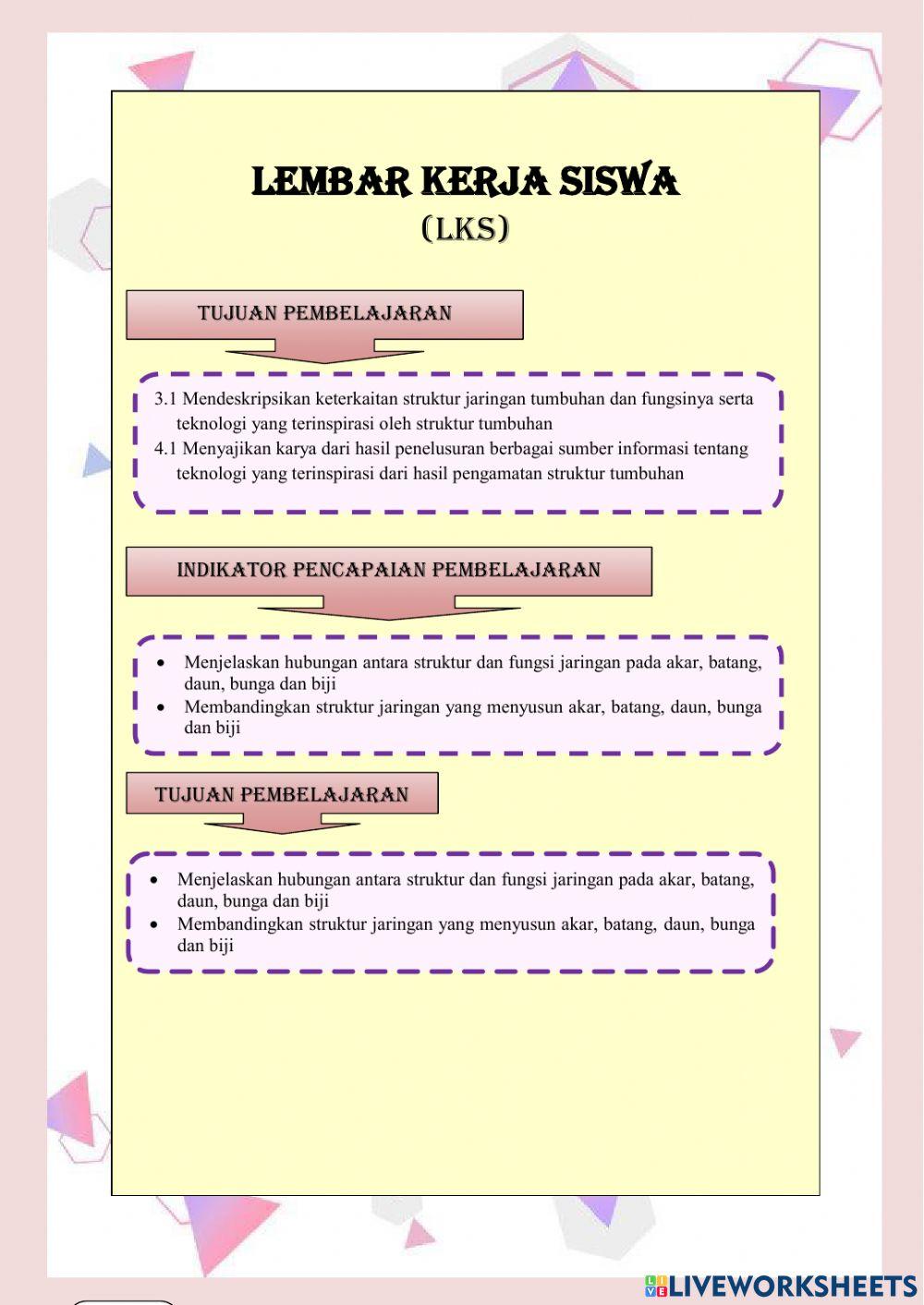 Struktur dan JAringan Akar dan Batang