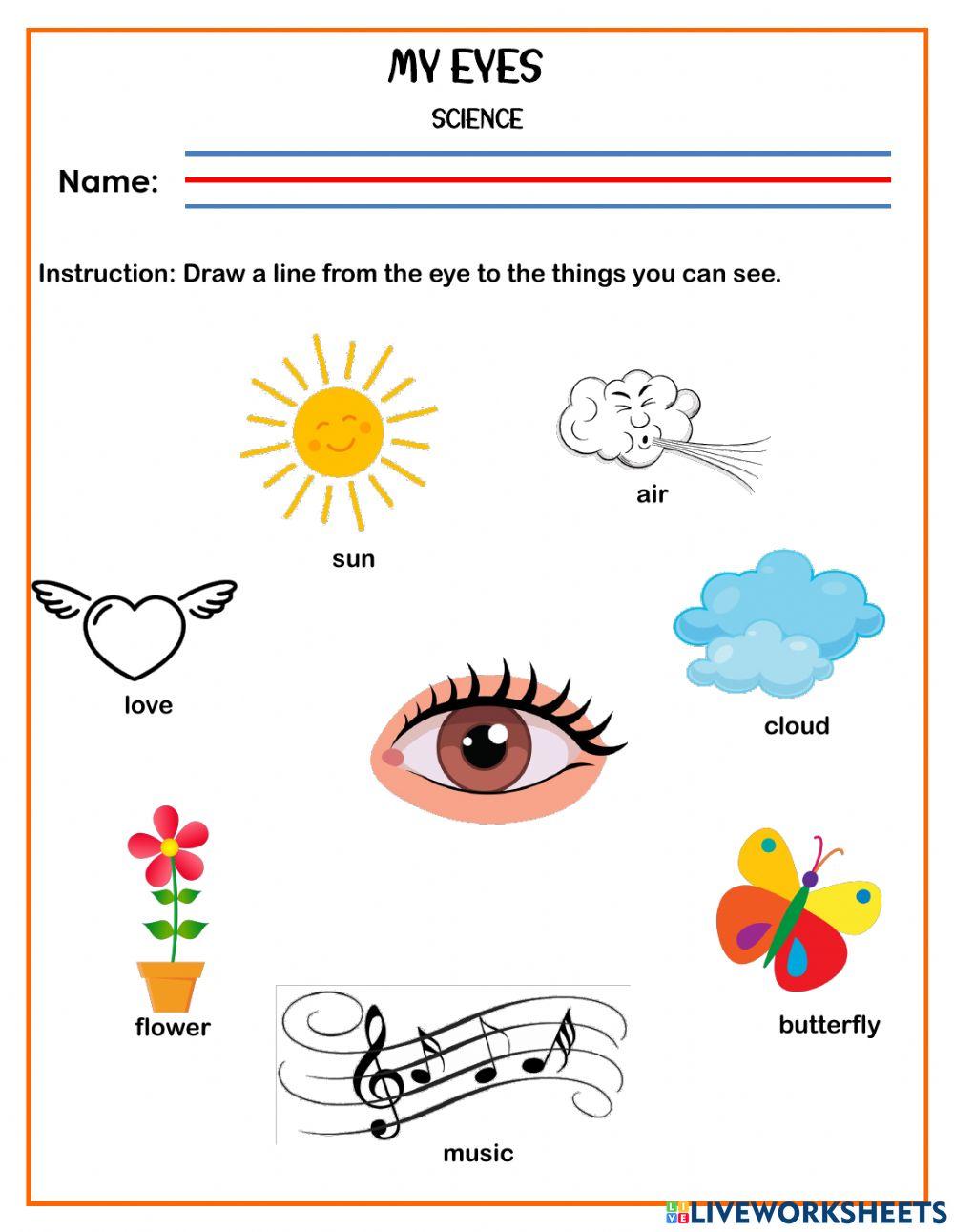 N2 Q1 W4 Science - My Eyes