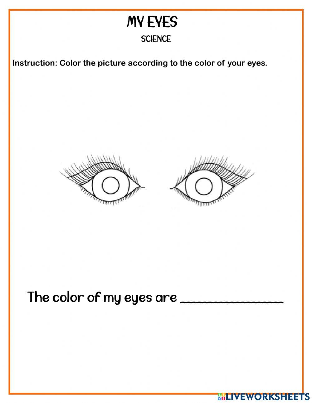 N2 Q1 W4 Science - My Eyes