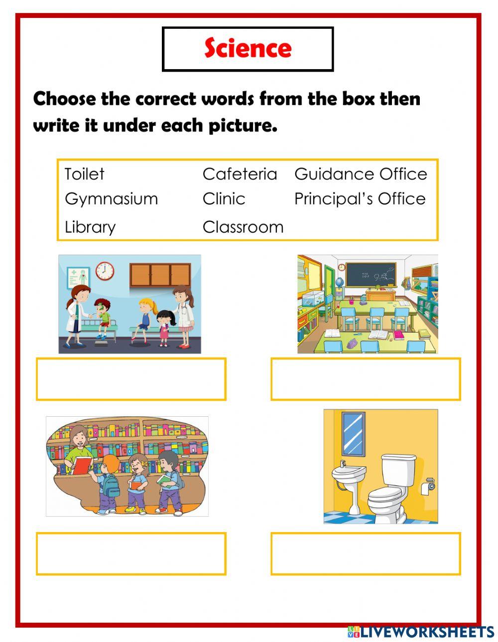 K1 Q1 W4 Science - My School