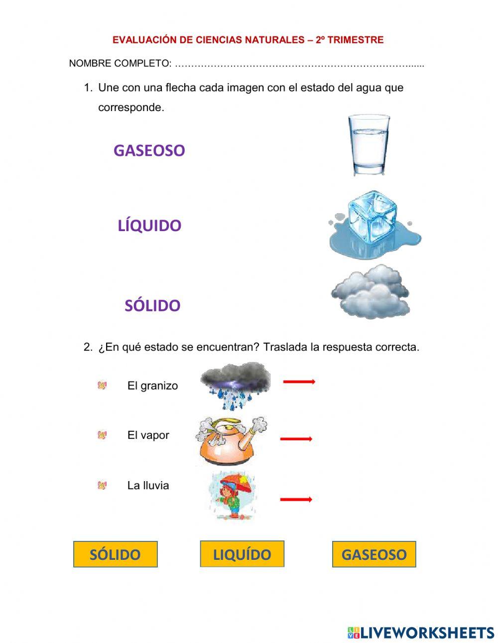 EVALUACION DE CIENCIAS NATURALES
