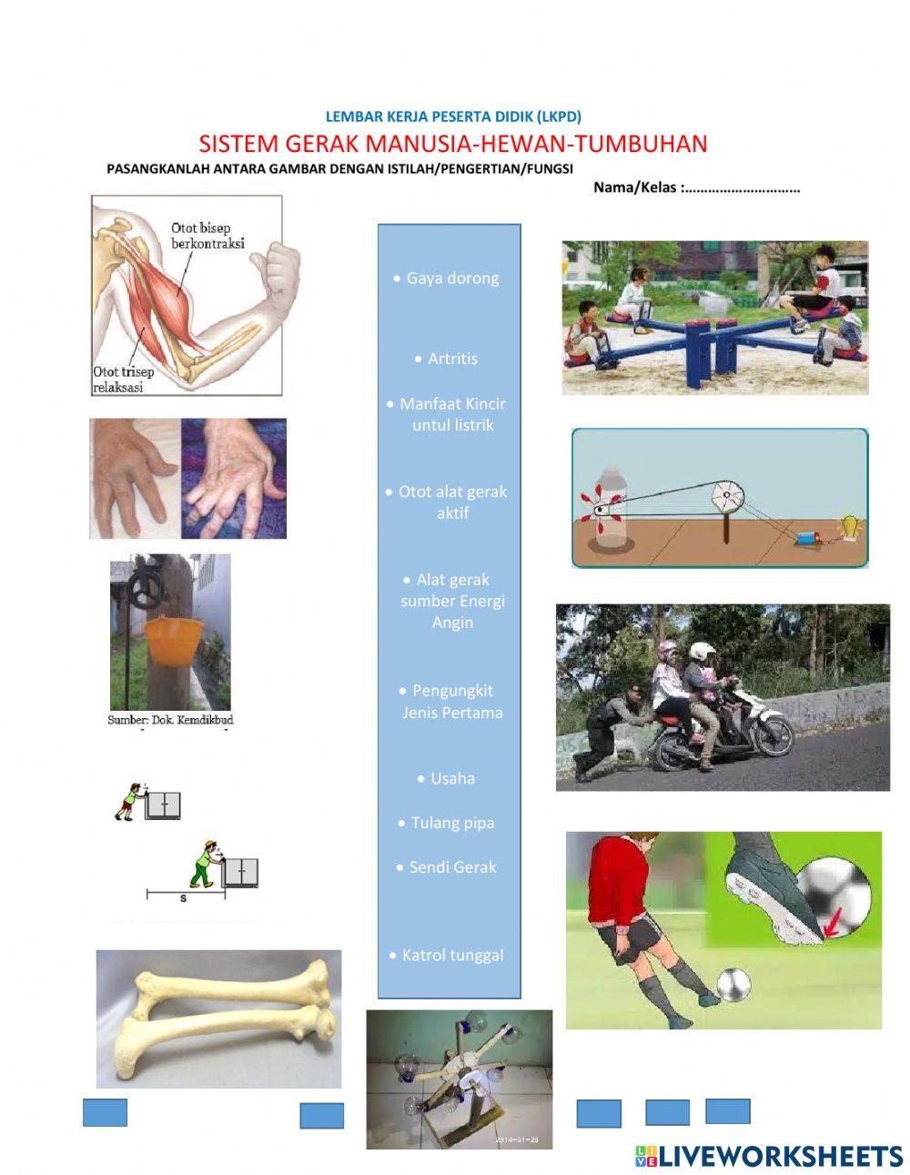 Aqu semangat bergerak