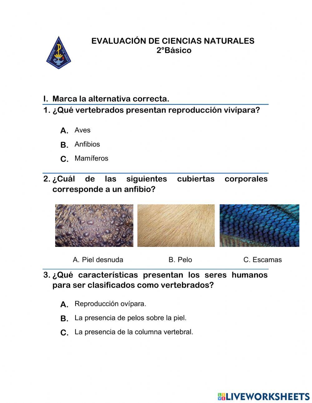 Animales Vertebrados